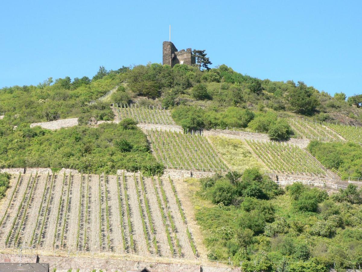 Gaestehaus Cheval Blanc Lorch am Rhein Eksteriør billede