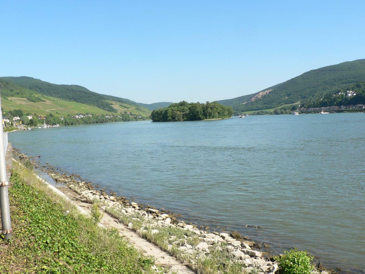 Gaestehaus Cheval Blanc Lorch am Rhein Eksteriør billede