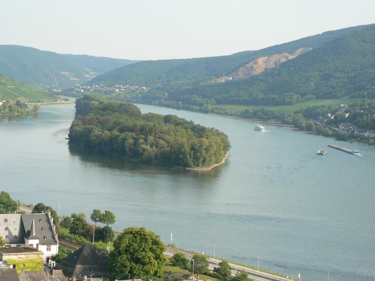Gaestehaus Cheval Blanc Lorch am Rhein Eksteriør billede