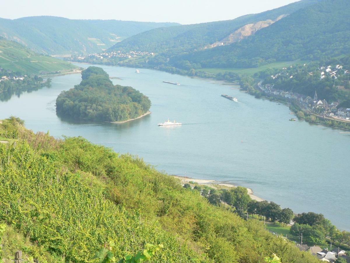 Gaestehaus Cheval Blanc Lorch am Rhein Eksteriør billede